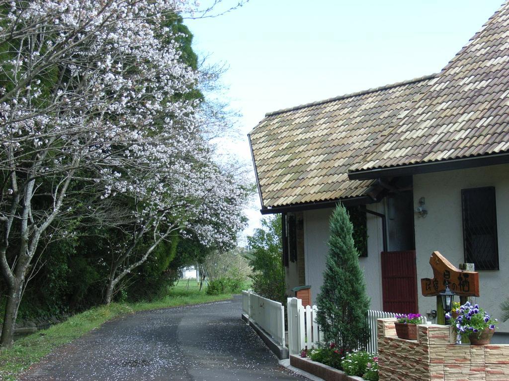 Hotel Minshuku Hoshi No Sumika à Shibushi Extérieur photo